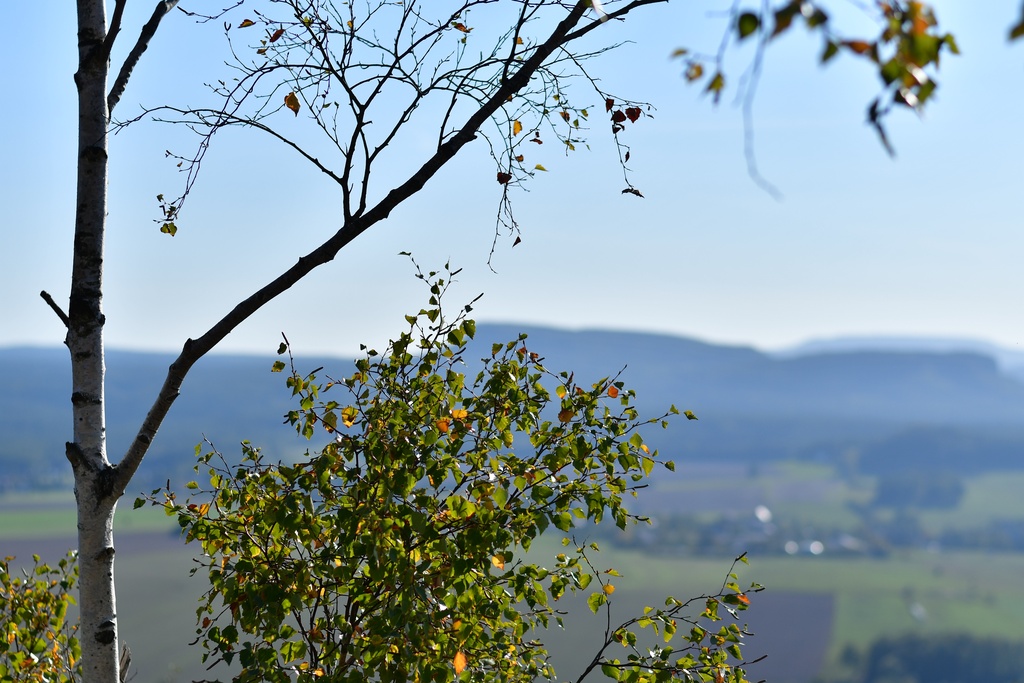 2018-10 Prague/Sächsische Schweiz/DSC_5810.JPG
